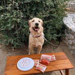 Will Fetch for Chicken Chips Dog Frisbee | Fun Toy for Dogs and Humans