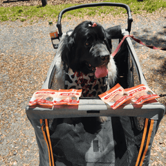 Turkey Chips Snack Pack Bundles | Low Allergen Treats for Training