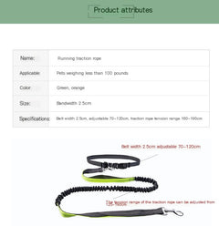 Dog Walking Belt with Detachable Shockproof Leash